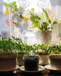 Similar image 21207067