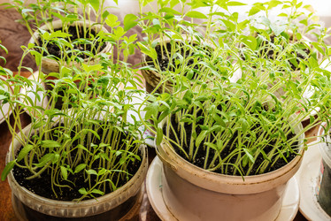 Similar image 21207068