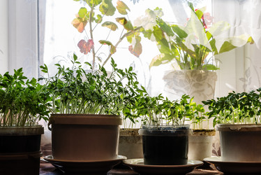 Similar image 21207070