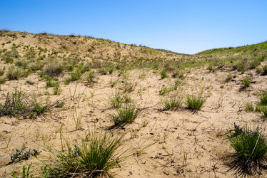 Similar image 21207075