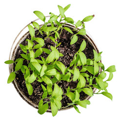 Similar image 21207076