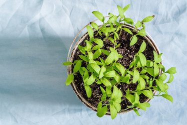 Similar image 21207077