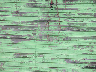 Similar image 21212749