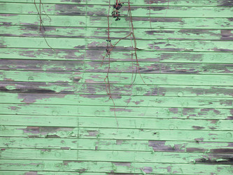 Similar image 21212751