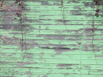 Similar image 21212753