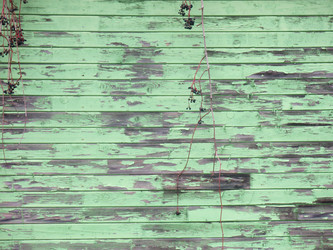 Similar image 21212754