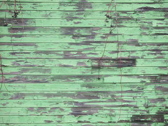 Similar image 21212756