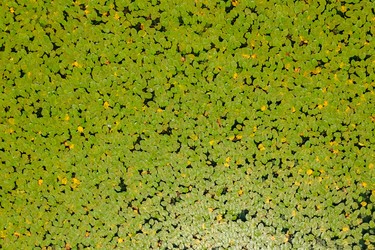 Similar image 21213184