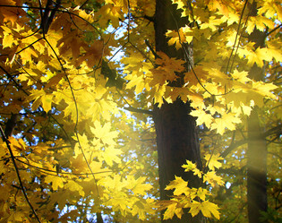 Similar image 21213188