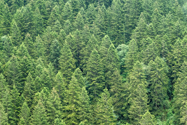 Similar image 21213207