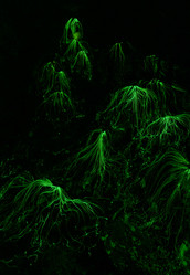 Similar image 21213256