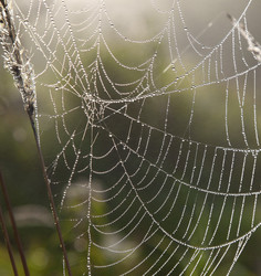 Similar image 21213096