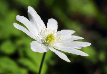 Similar image 21213117