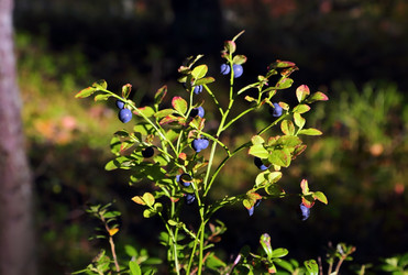 Similar image 21221217