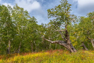 Similar image 21221406