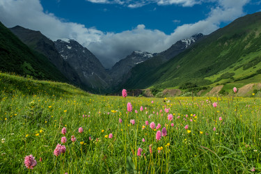 Similar image 21221412