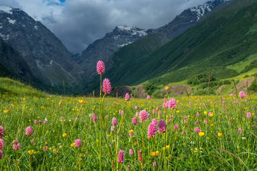 Similar image 21221414