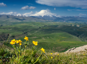 Similar image 21221422