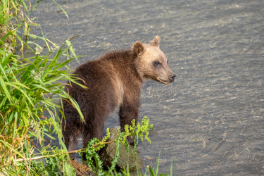 Similar image 21221424