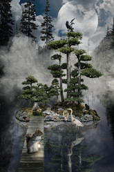 Similar image 21207774