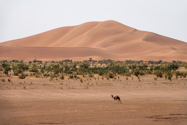 Similar image 21221181