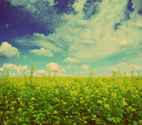 Similar image 21222498