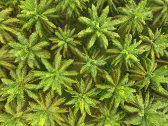 Similar image 21222516