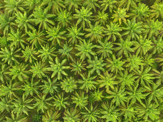 Similar image 21222520