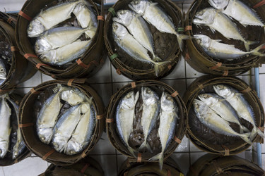 Similar image 21222523