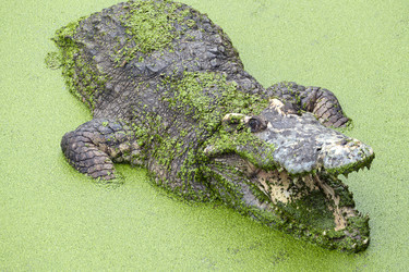 Similar image 21222527