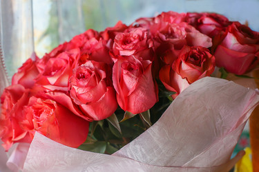 Similar image 21221963