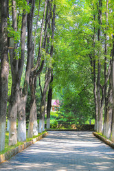 Similar image 21253201