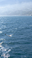 Similar image 21206232