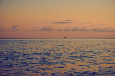 Similar image 21208228