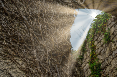 Similar image 21206252