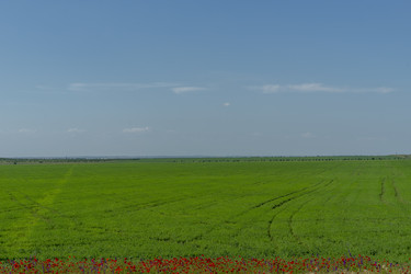 Similar image 21206276