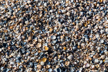 Similar image 21252844