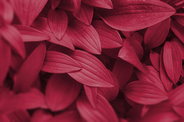 Similar image 21206317