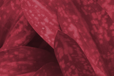 Similar image 21206318