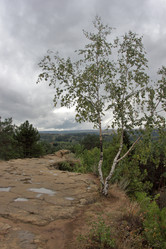 Similar image 21206328