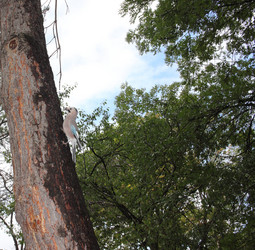 Similar image 21206335