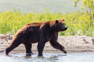 Similar image 21206084