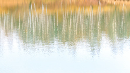 Similar image 21206085