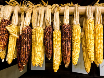 Similar image 21206086