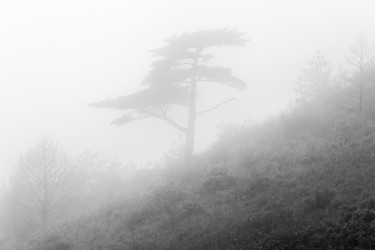 Similar image 21206095