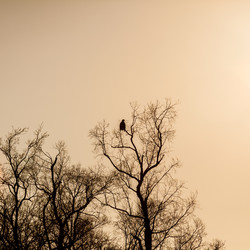 Similar image 21206098