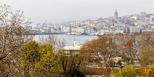 Similar image 21206099