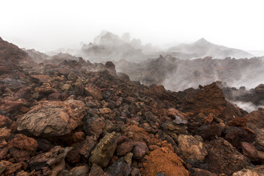 Similar image 21206102