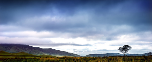 Similar image 21238592