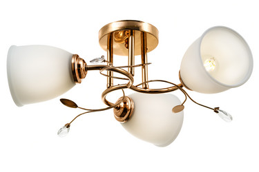 Similar image 21209469